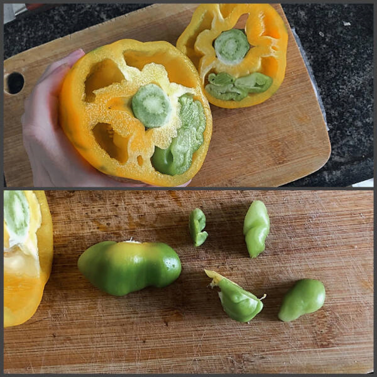 “My yellow pepper came with a green pepper inside.”
