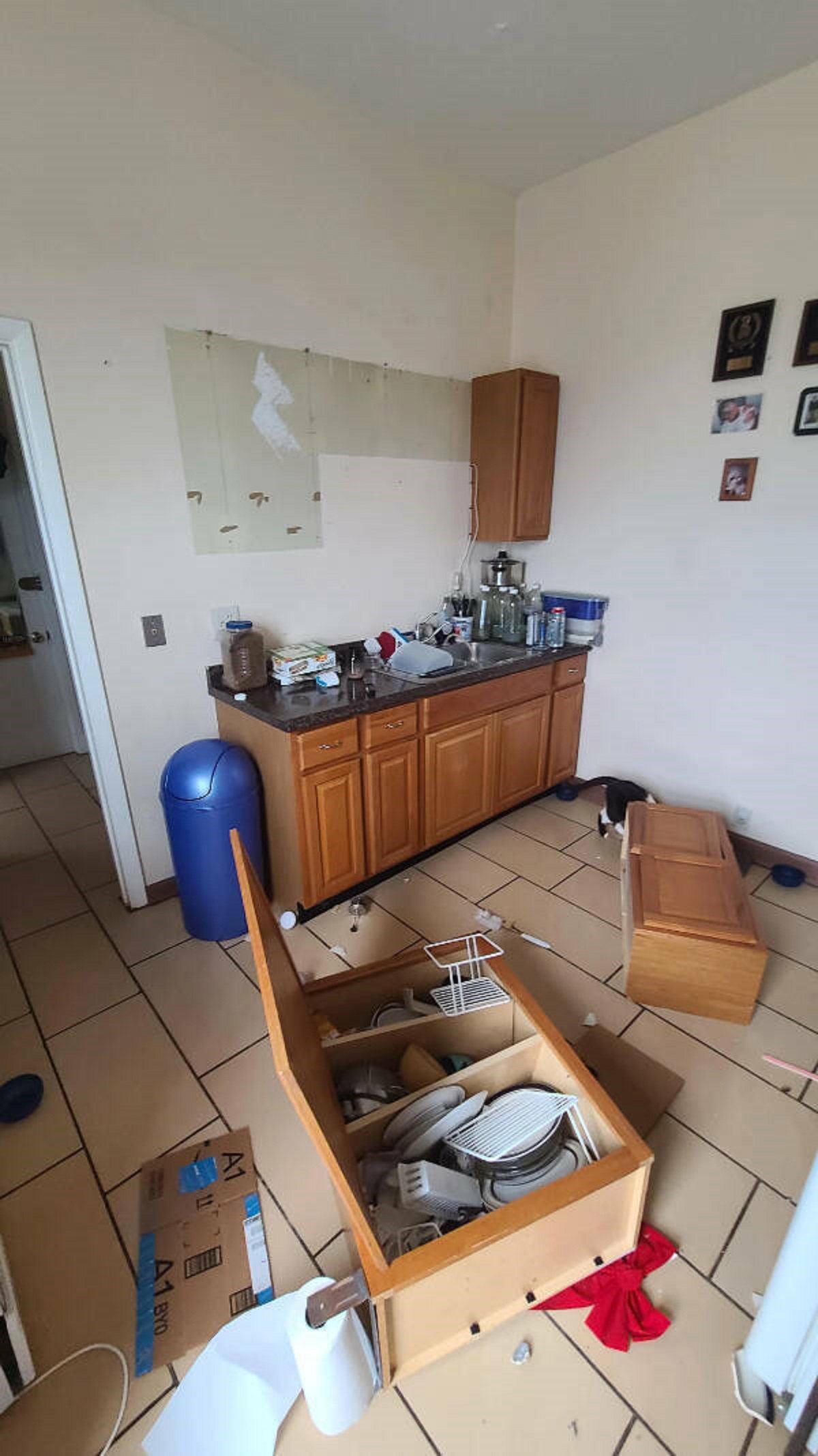 “Kitchen cabinets came crashing down at 4am last night.”