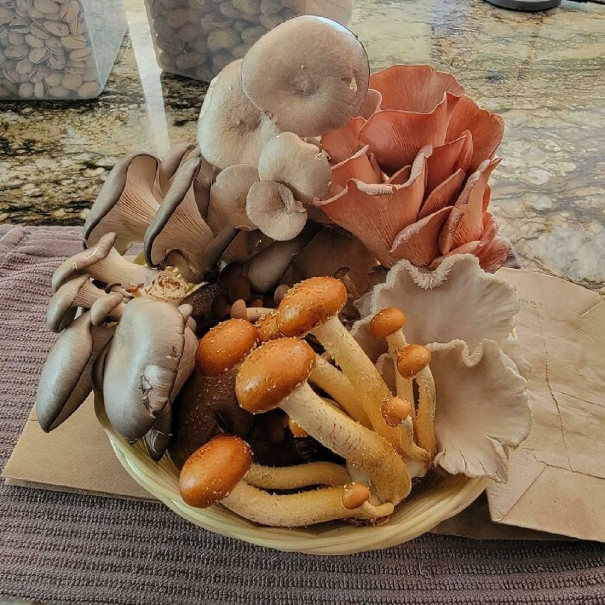 My Husband Got Me A Bouquet Of Mushrooms For Mother’s Day