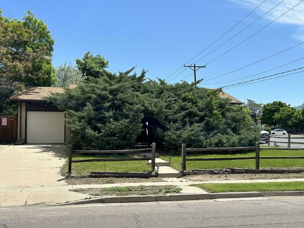 This House That Has A Tunnel Through A Juniper Bush To Get To Their Front Door