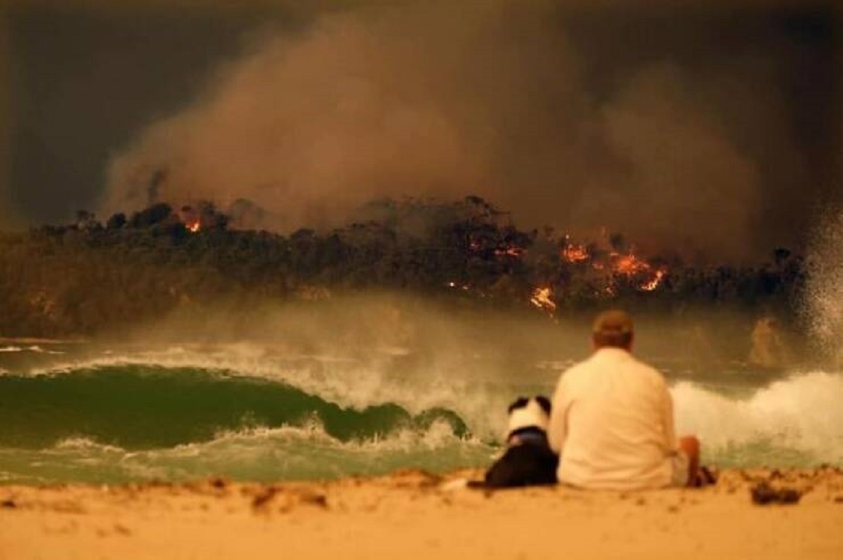 "Australian Man And His Dog Watching Their World Burn. 2020"