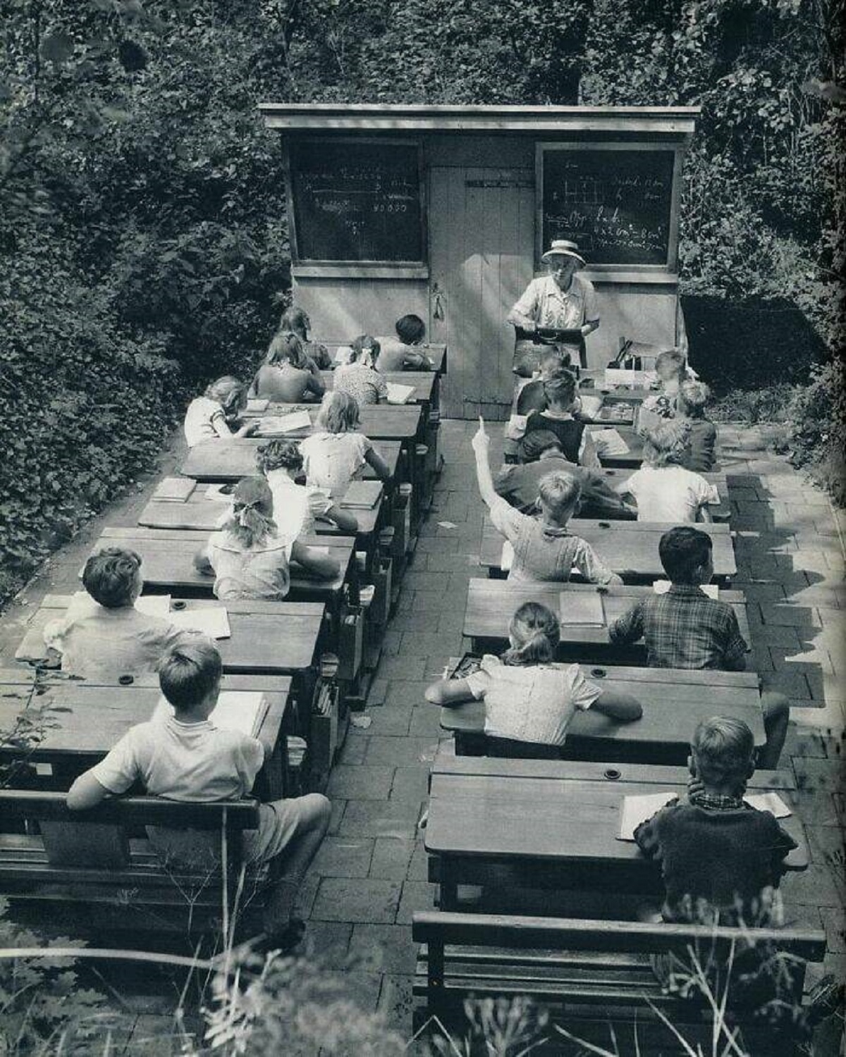 "Open-Air School In The Netherlands. 1957"