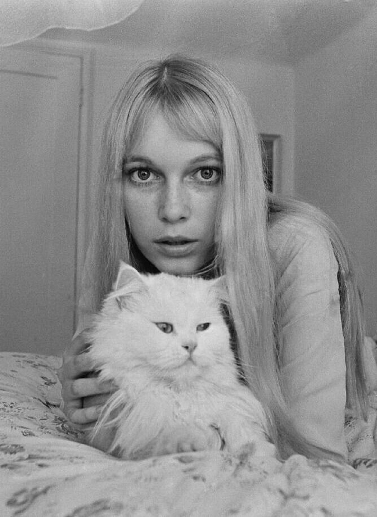 "Mia Farrow C. 1964"