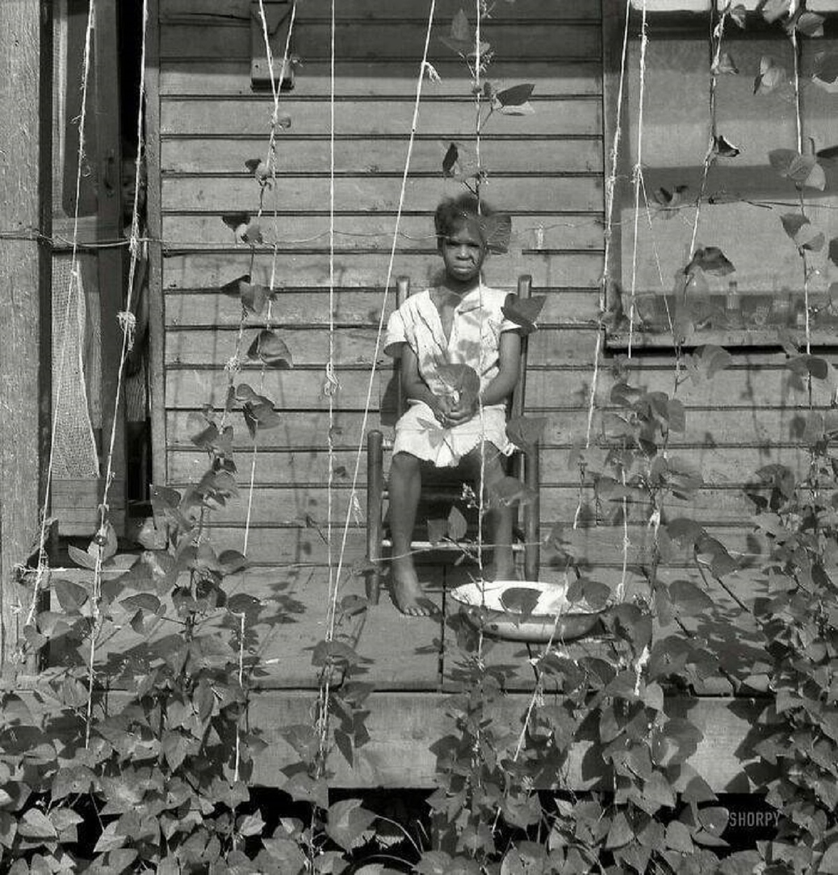 "June 1938. "Butter Bean Vines Across The Porch. Negro Quarter In Memphis, Tennessee.""