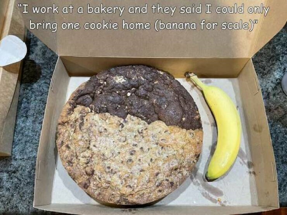 pumpernickel - "I work at a bakery and they said I could only bring one cookie home banana for scale"
