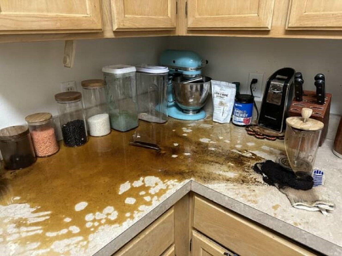 "My French Press Exploded"