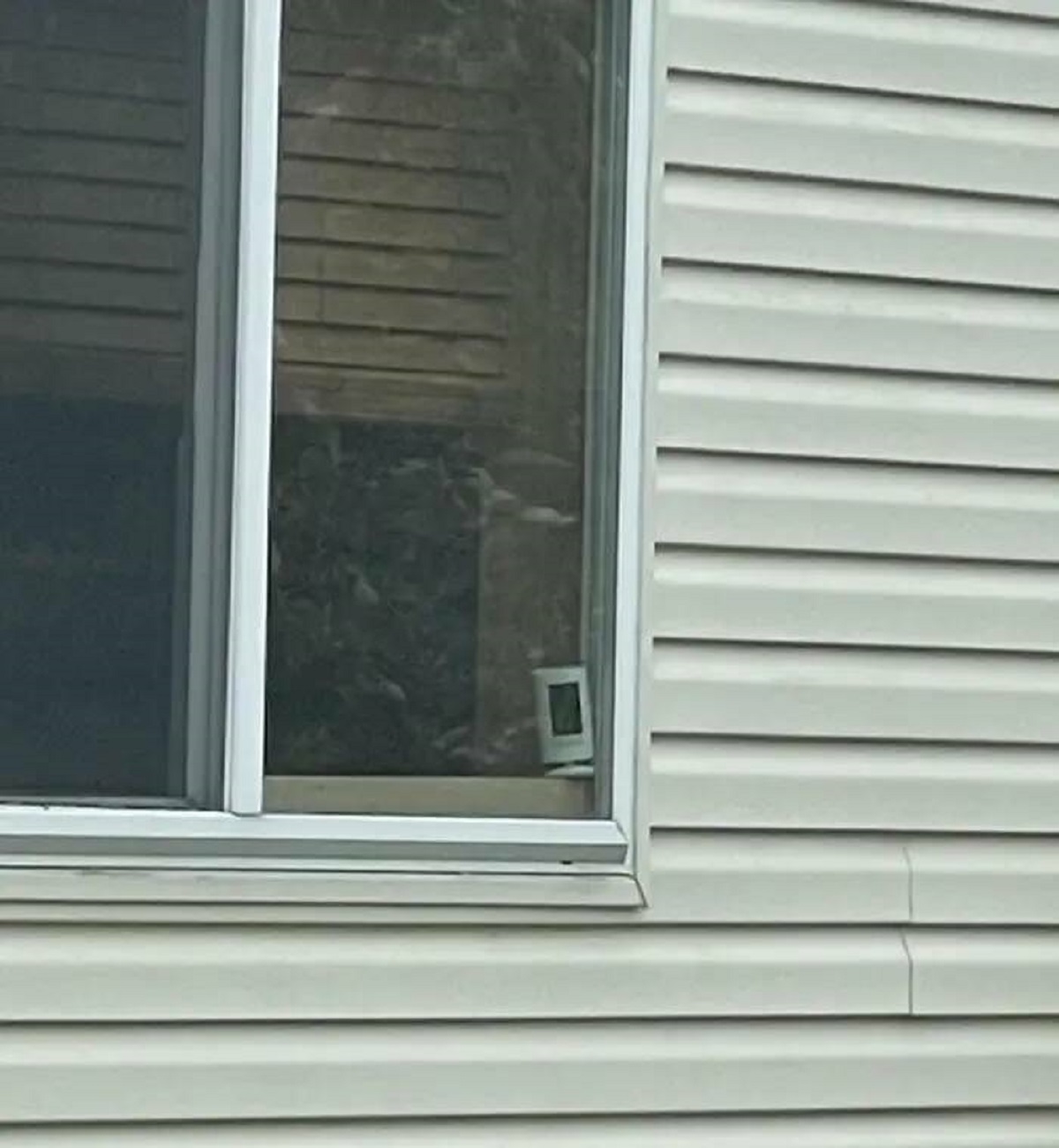 This person's neighbor installed two cameras that point directly at their basement windows: