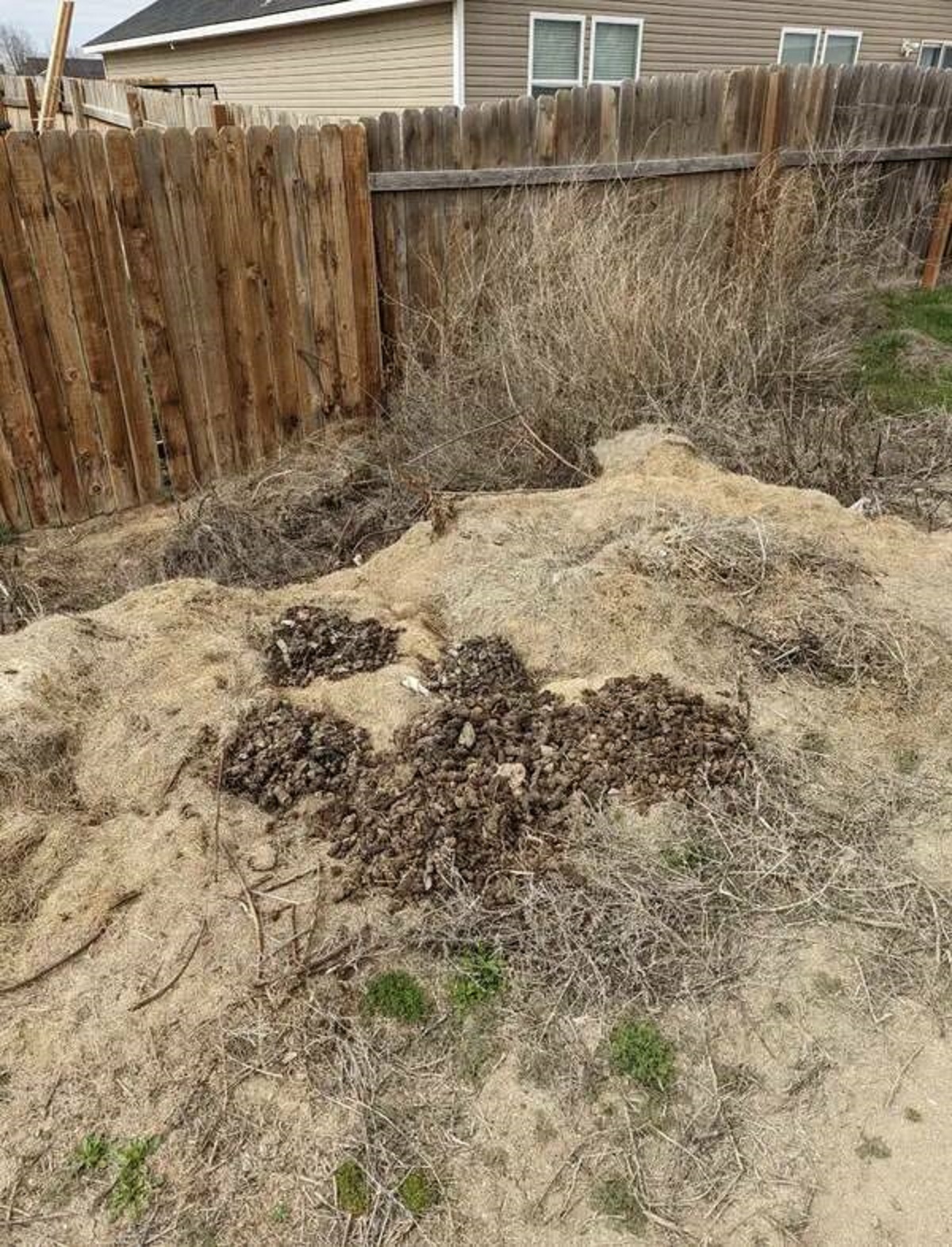 This person's neighbor keeps tossing their dog's poop over the fence and into their yard: