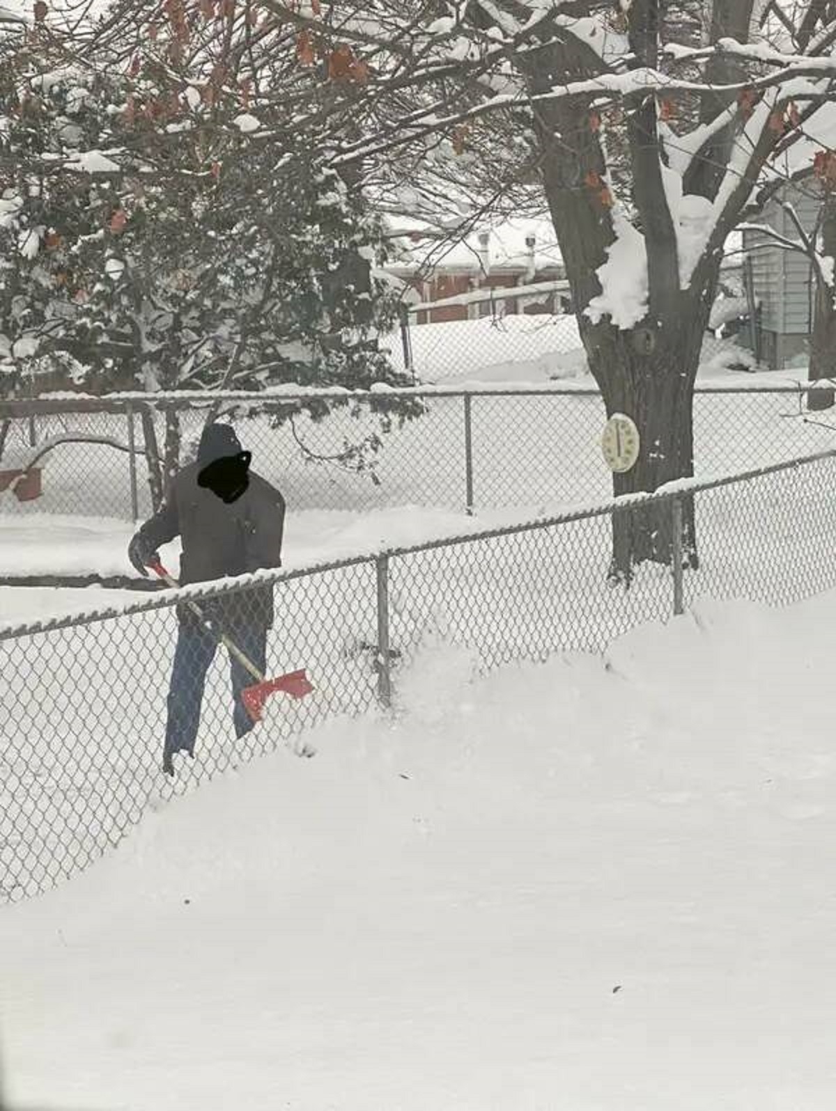 And this person's neighbor keeps shoveling his snow into their yard: