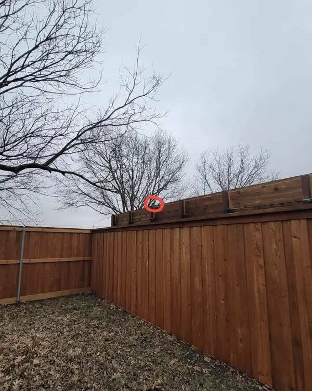 This person built a fence around their property, and their neighbor responded by raising their own fence by two feet and adding a camera to seemingly peek in: