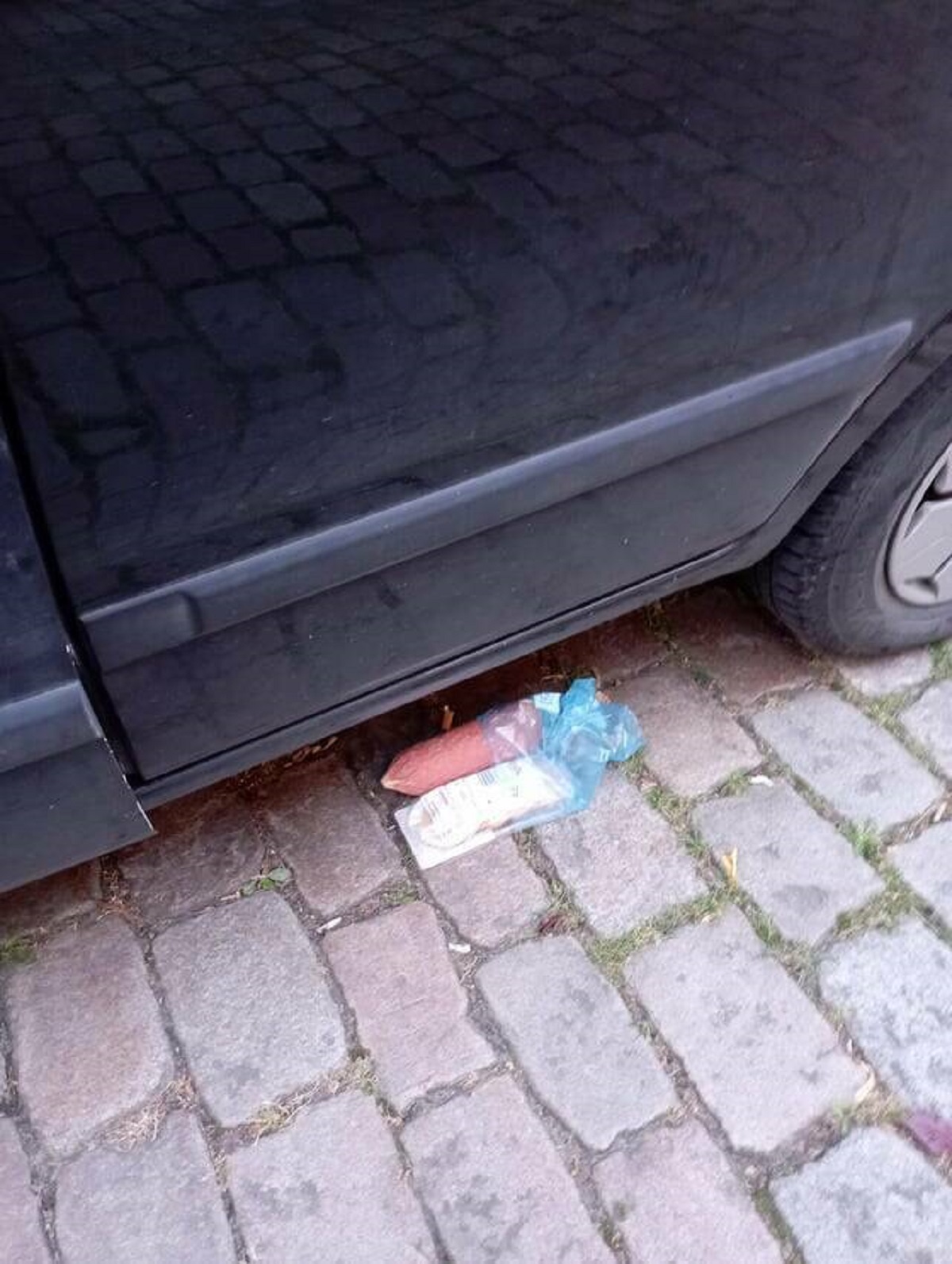 "Someone left sausages under my car"