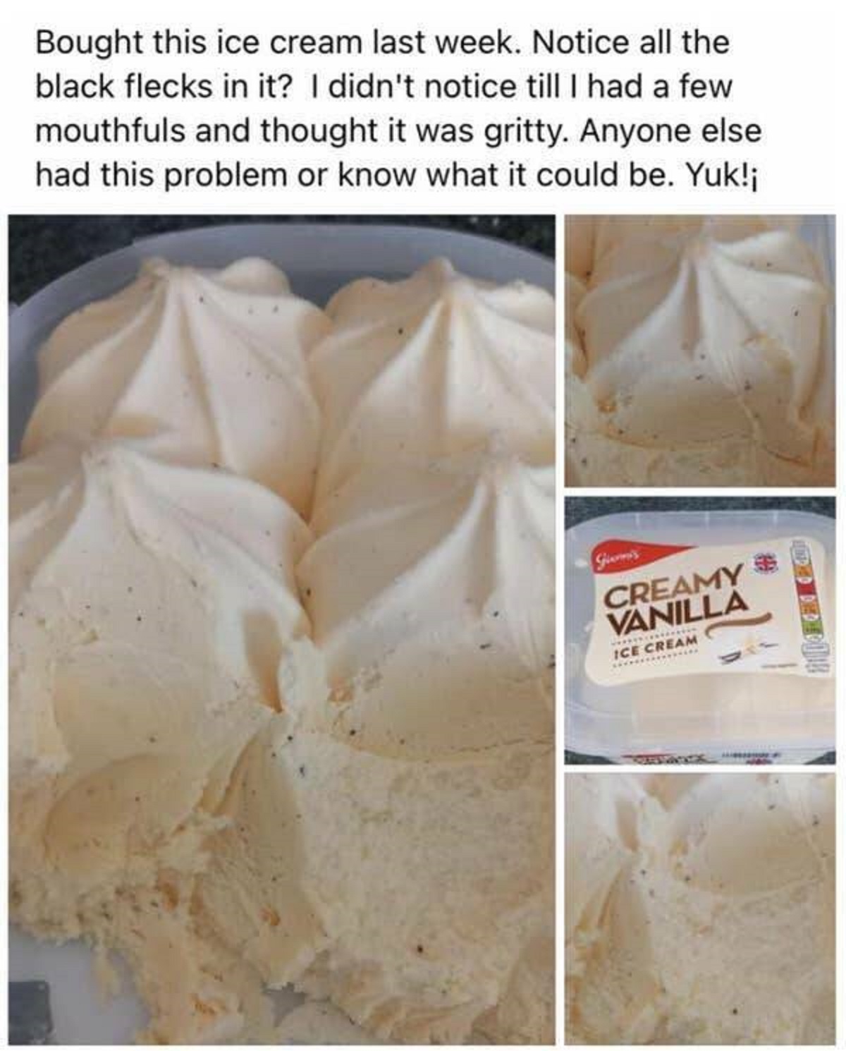 31 People Who Are Dumb As Rocks 