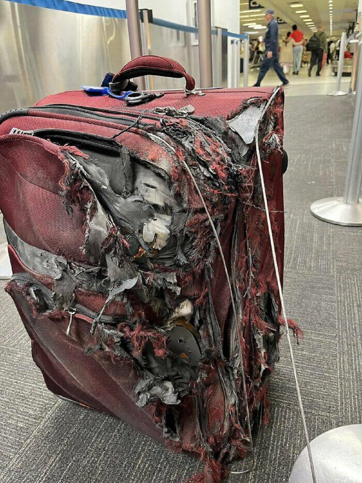 "My Uncle's Suitcase After His Flight"