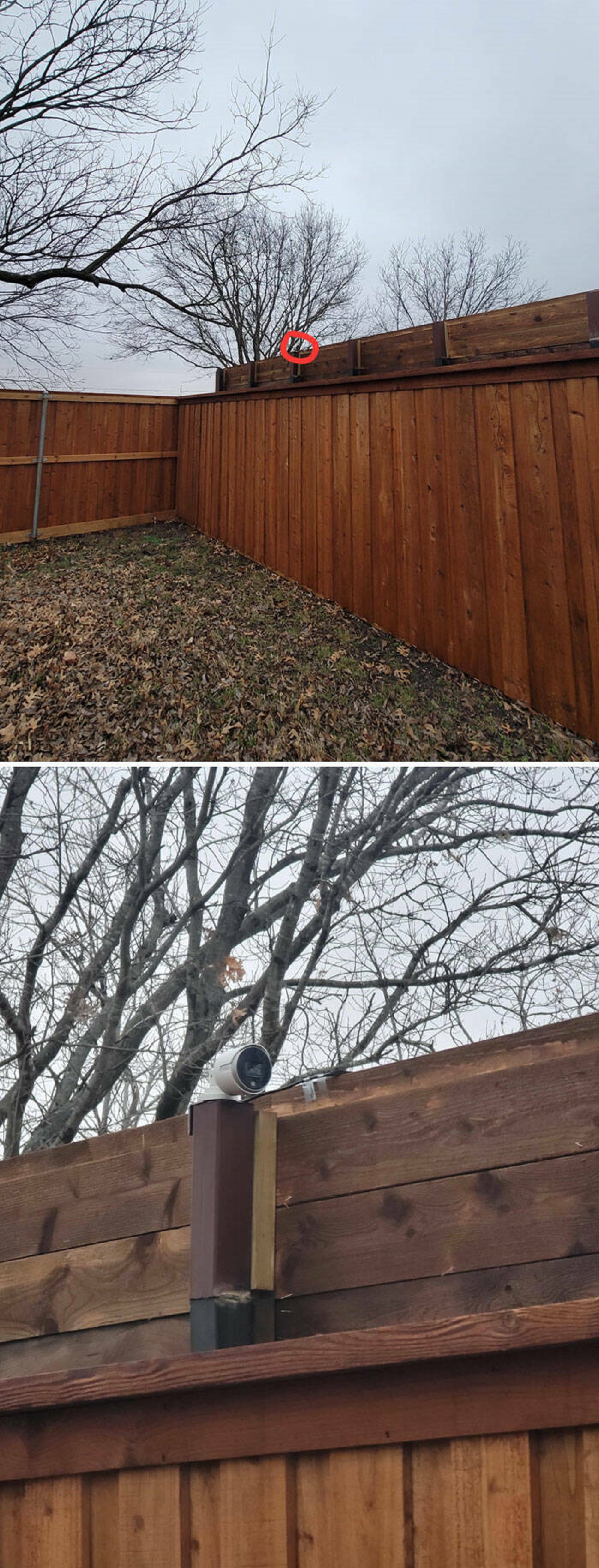 "Built A 7-Foot Privacy Fence. Neighbor Raised His By 2 Feet And Put A Camera Facing Into My Backyard"