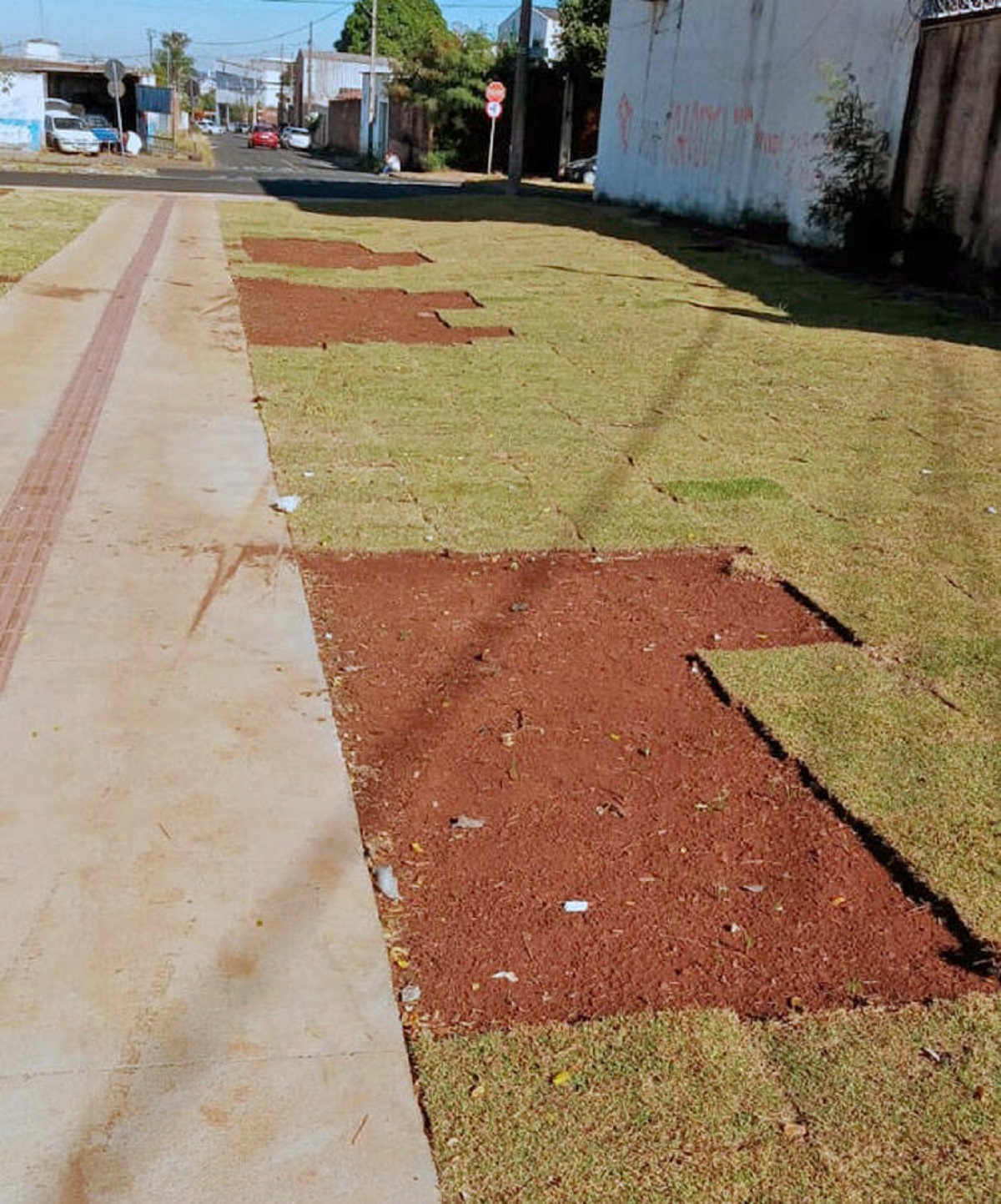 "People Are Robbing Grass At A Square That Is Being Constructed In My Neighborhood"