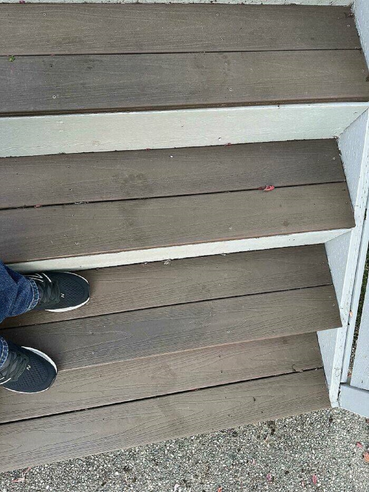 "Was Leaving My House At 6am And Found This In The Dew On The Front Steps"
