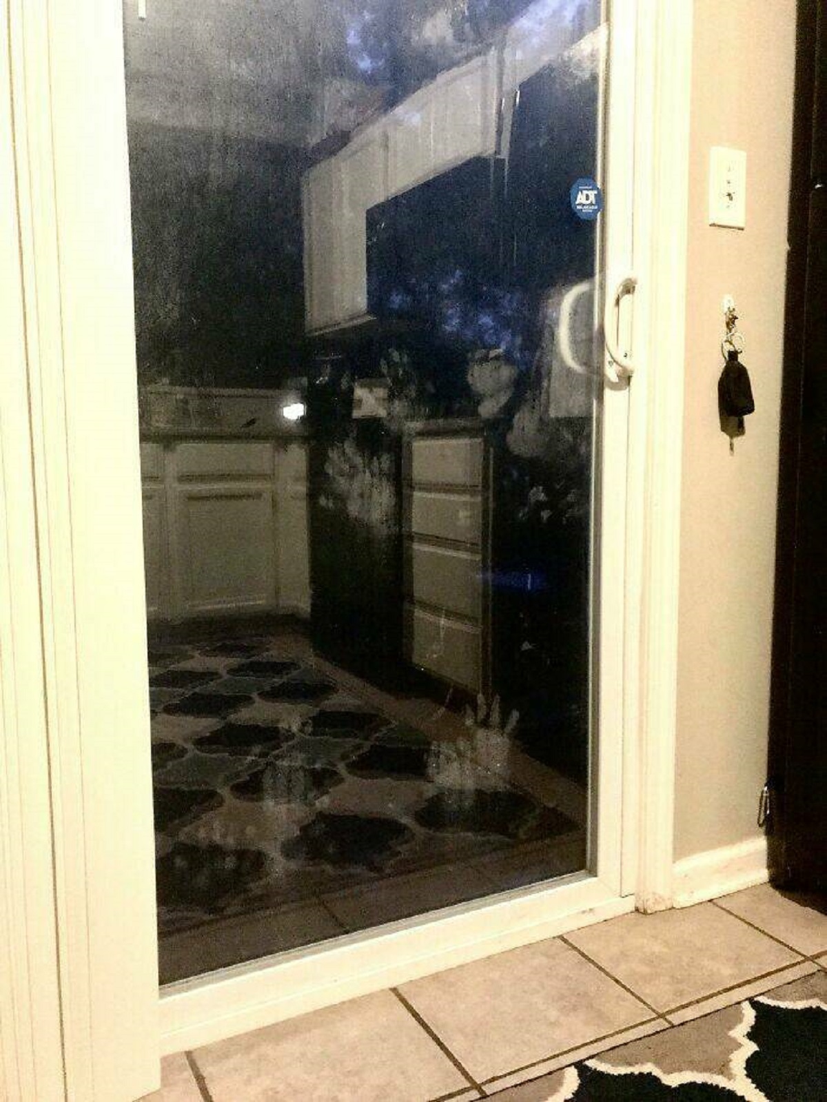 "These Hand/Paw Prints On My Back Door"