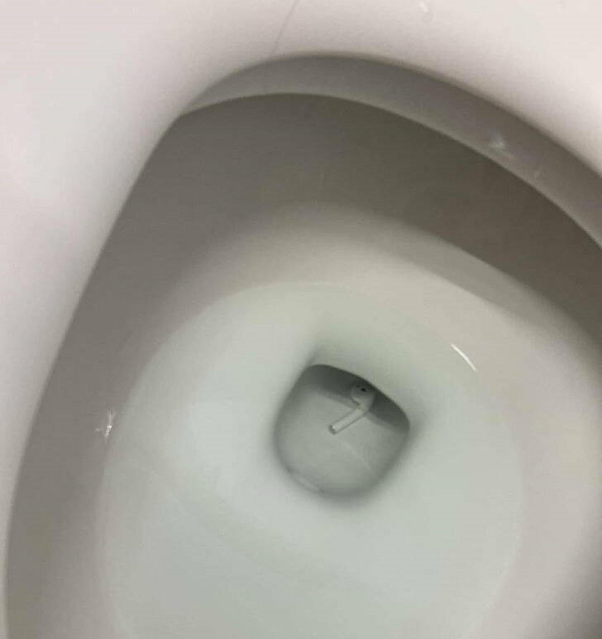 “Donating blood today, used the bathroom and this happened.”