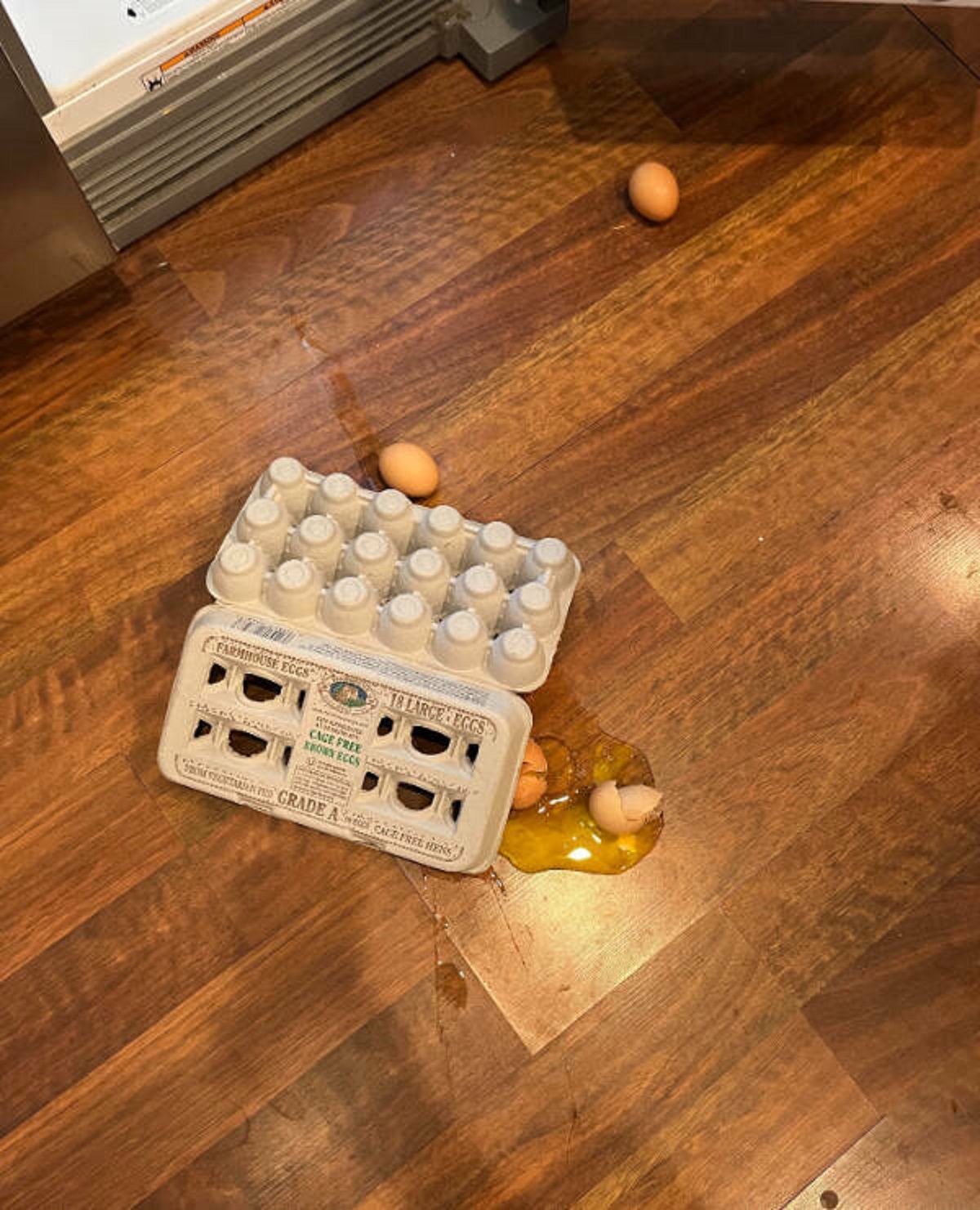 “Asked my 8 year old to put the eggs back in the fridge after breakfast this morning .”