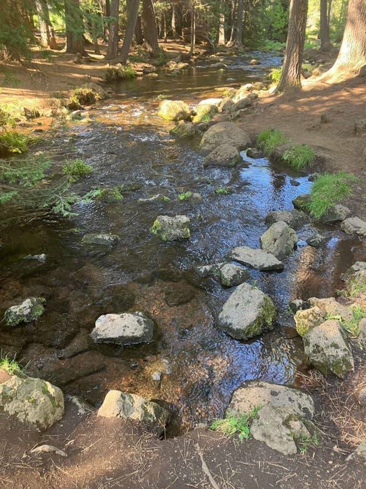 This is what the start of a river looks like: