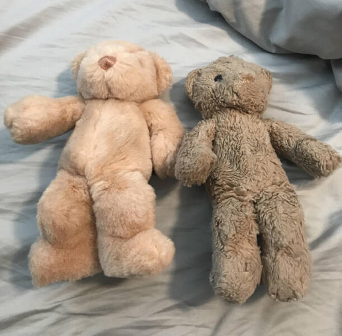 “Same teddy bear, 30 years apart”