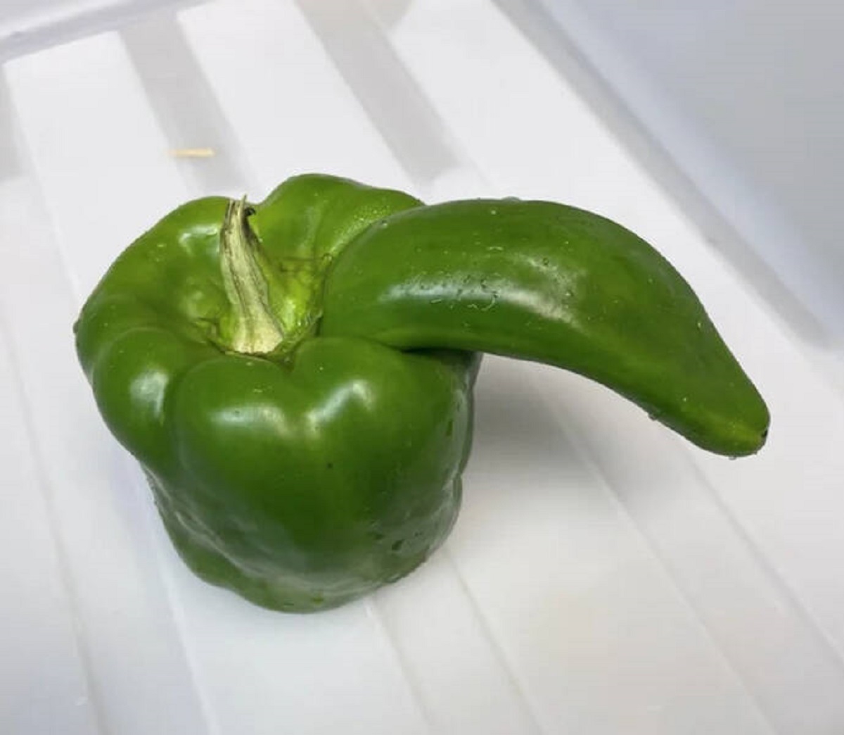 “I found this weird pepper at work.”