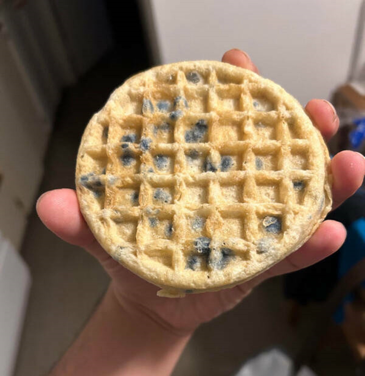 “I’ve eaten 2 blueberry waffles, then saw the package was for the plain waffles. I ate mold.”