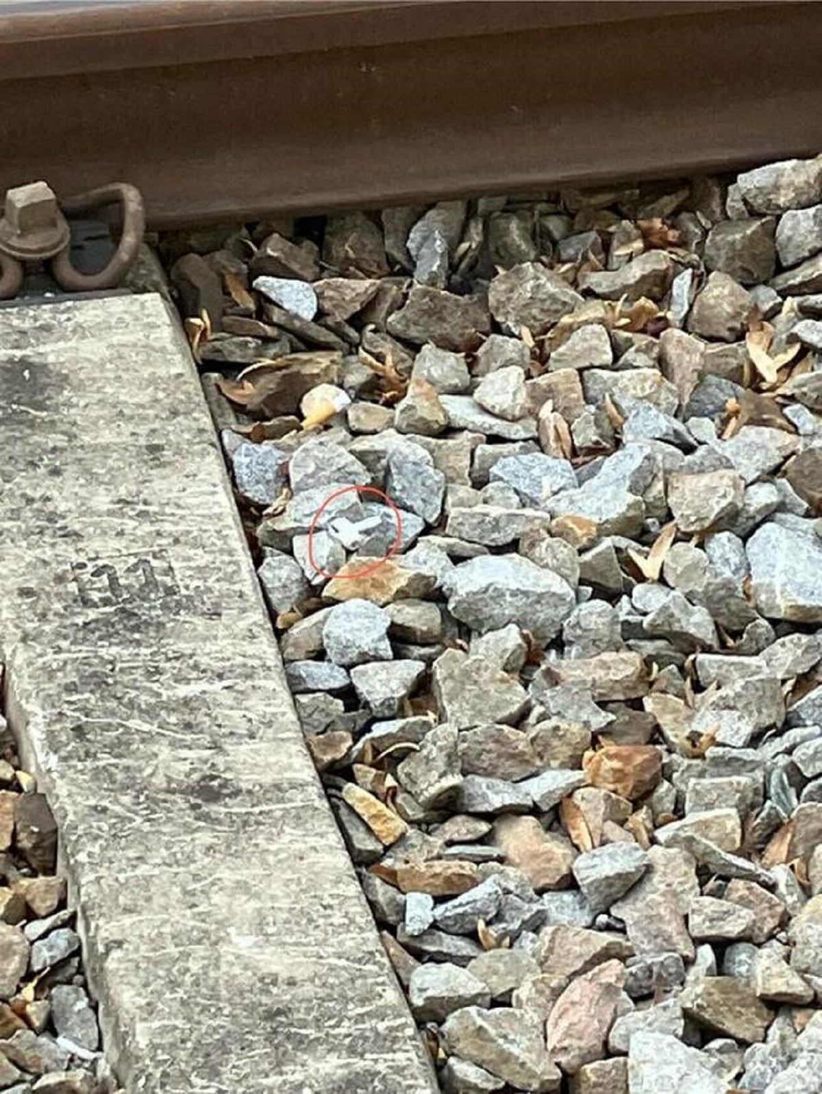 "Someone lost their Airpod on the rail"