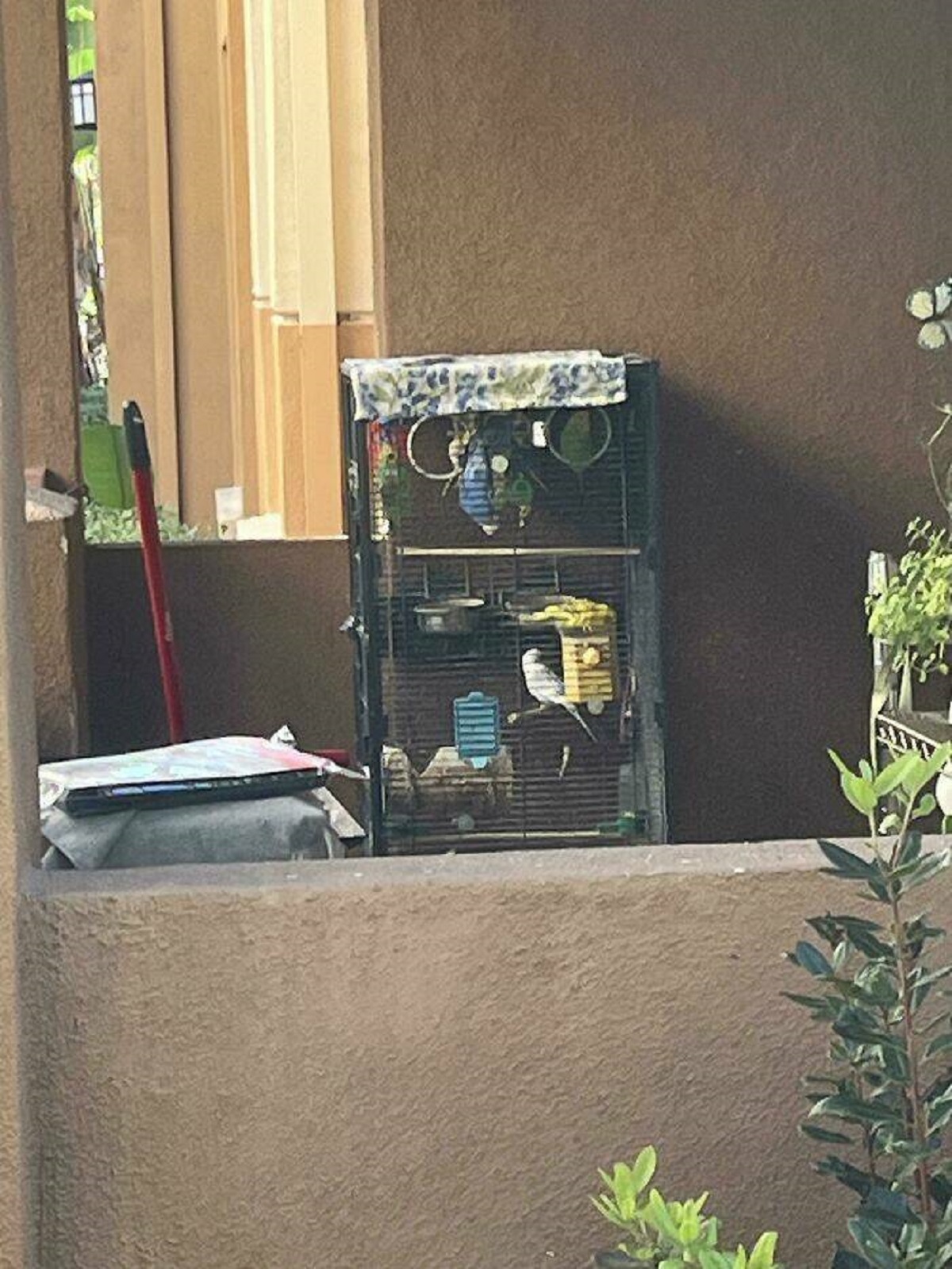 "Is This Cage Cruel? One Of My Neighbors Has Like 8 Birds In There"