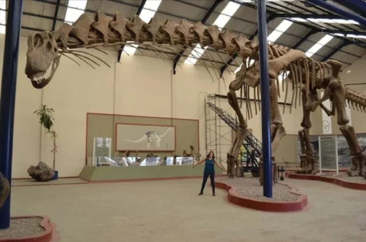 "Human next to Argentinosaurus."