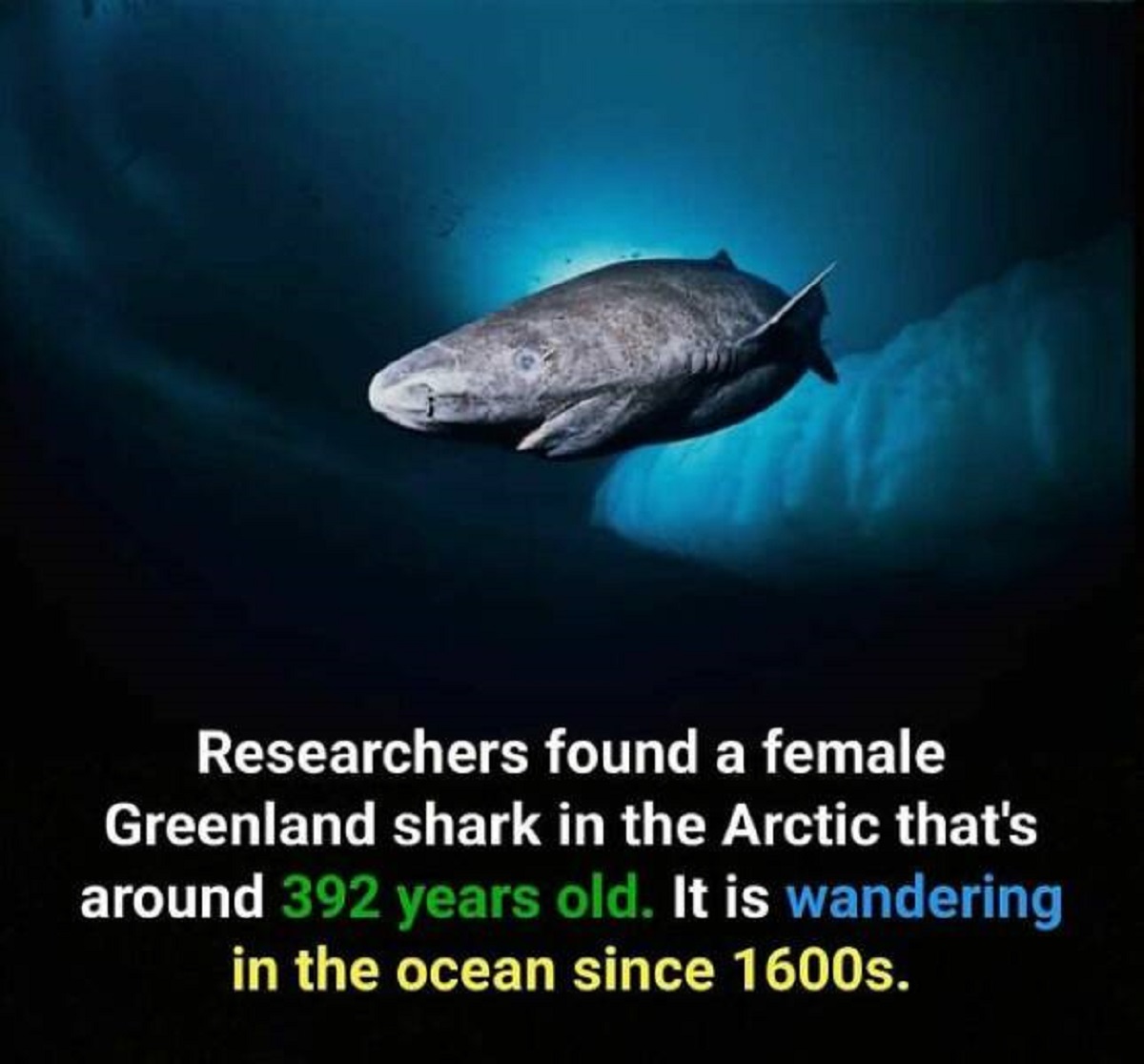 48 Fascinating Facts To Fill Your Head With.