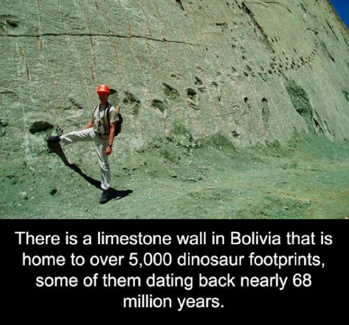 48 Fascinating Facts To Fill Your Head With.