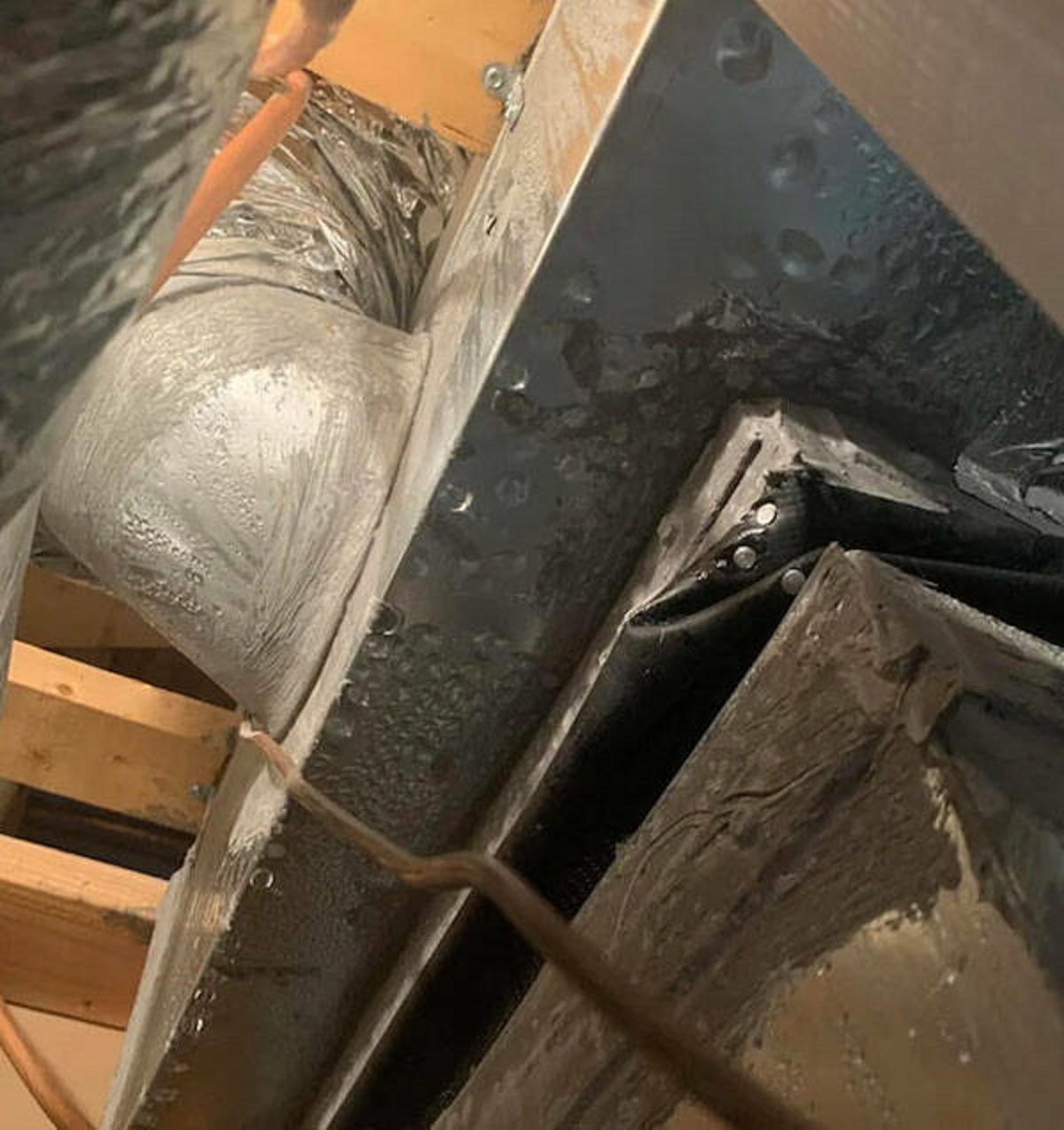 "Forgetting to clean the condensation line on my HVAC.

During a hot streak in the summer, the condensation line got clogged. Water slowly leaked out of the HVAC (it was in a utility closet so no idea how long it was leaking.) The water leaked under the drywall to the adjacent room, and ruined all of the flooring."