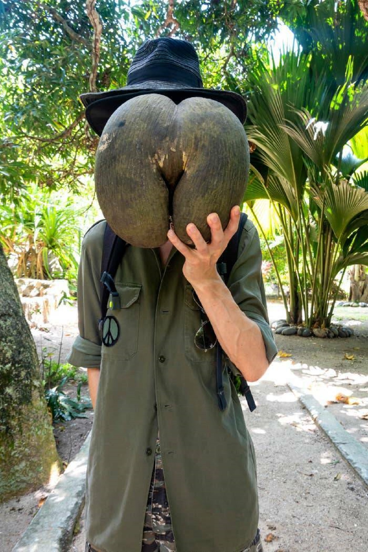 This is how large the biggest seed on the planet, the double coconut seed, is compared with a person: