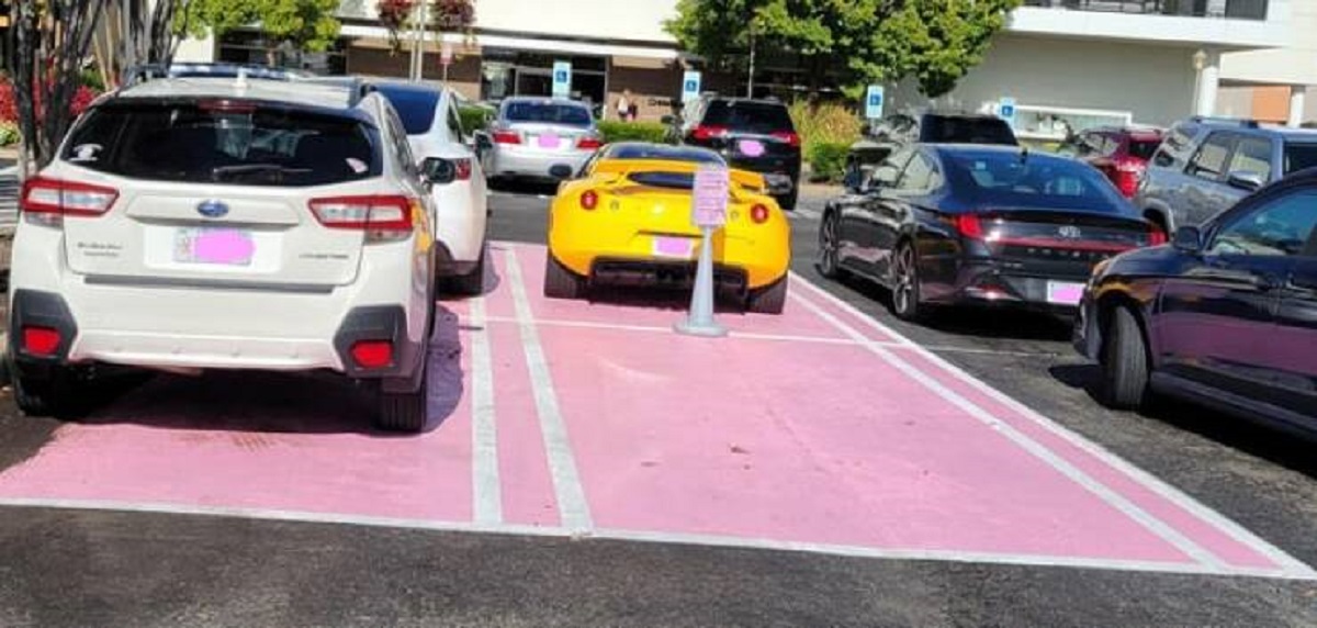 "Breast cancer survivor parking"