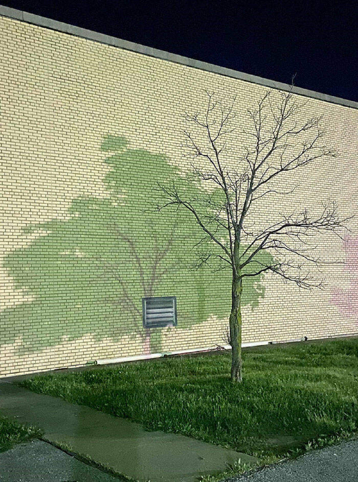 "This Shadow From Two Different Trees In My Parking Lot"