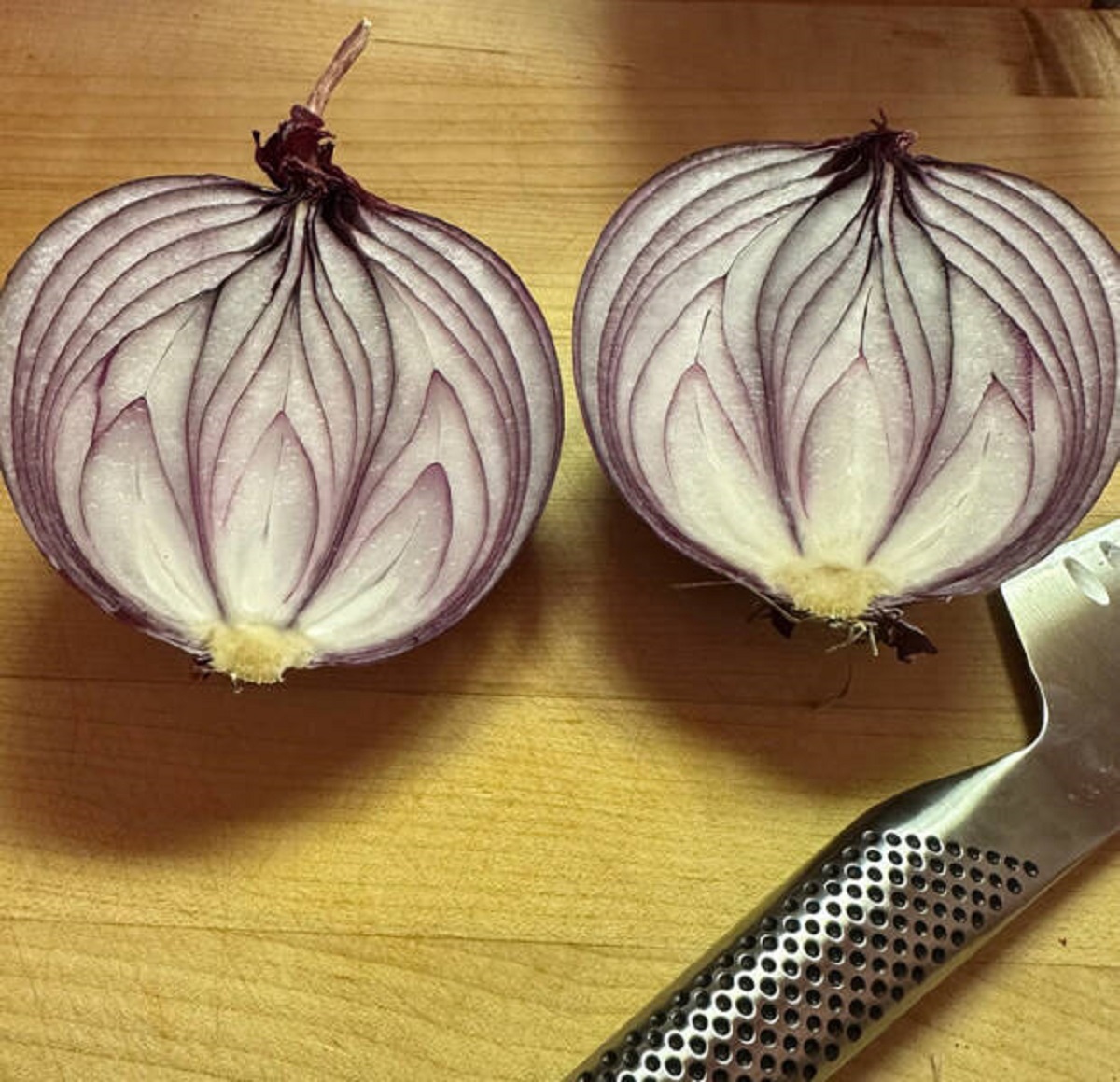 ’’The inside of my red onion looks like a lotus flower.’’