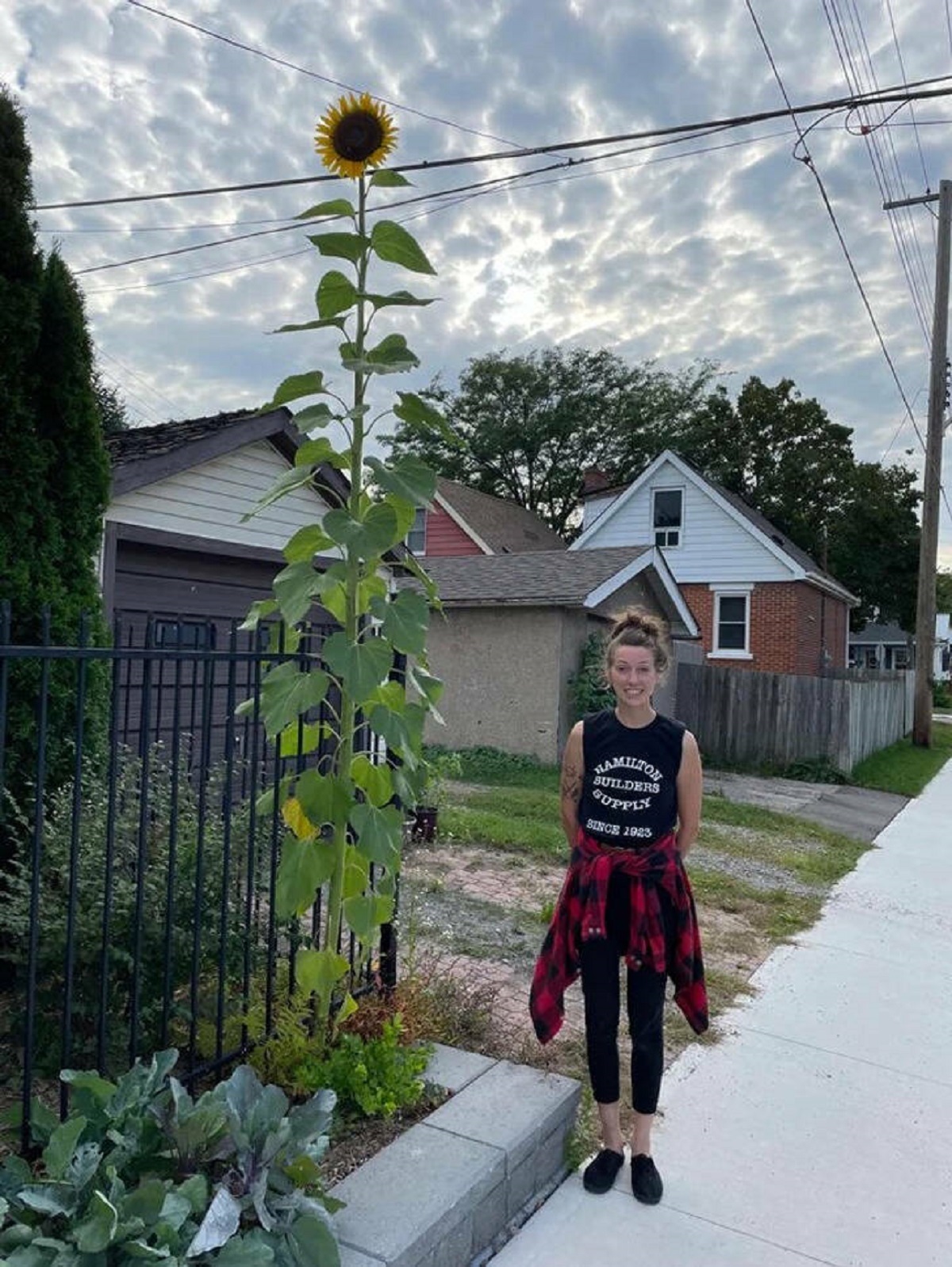 ’’I found a very tall sunflower, I’m 5’10 for comparison.’’