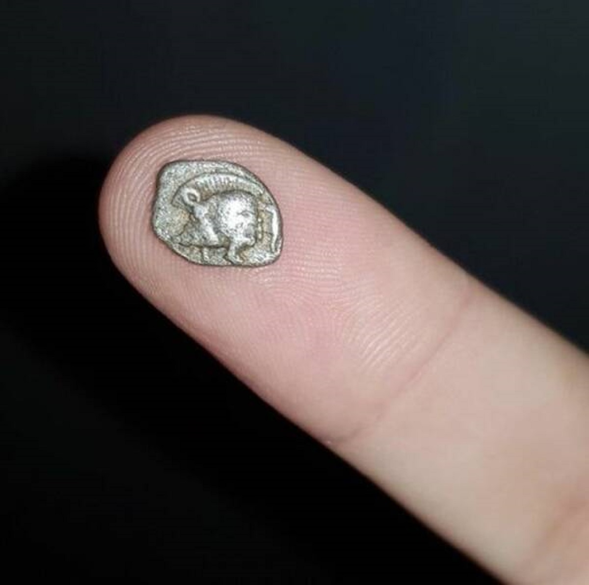 "A tiny Greek silver coin which is 2500 years old."