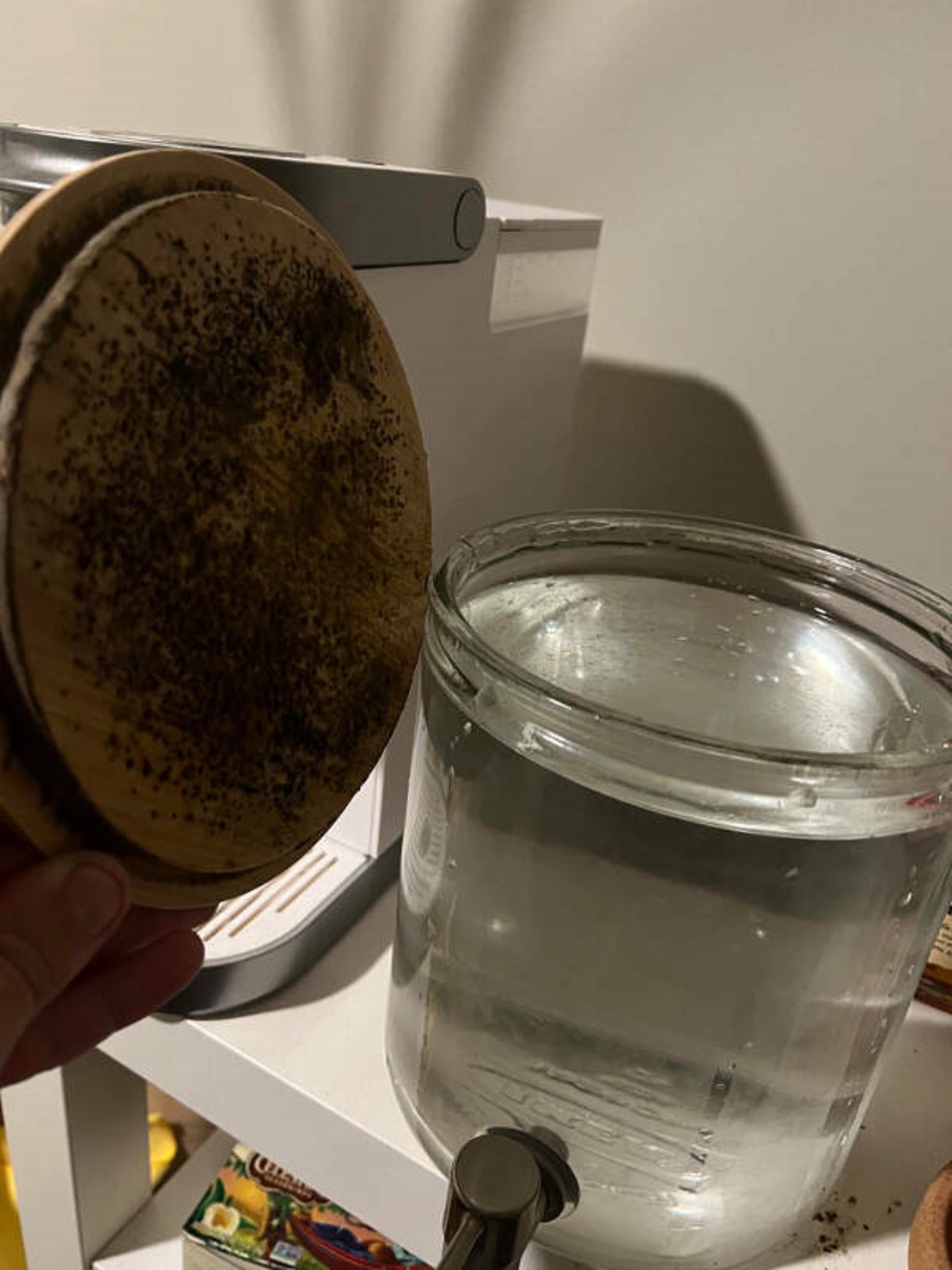 “Been drinking water from my Ikea water dispenser only to see this when I took the wooden lid off.”