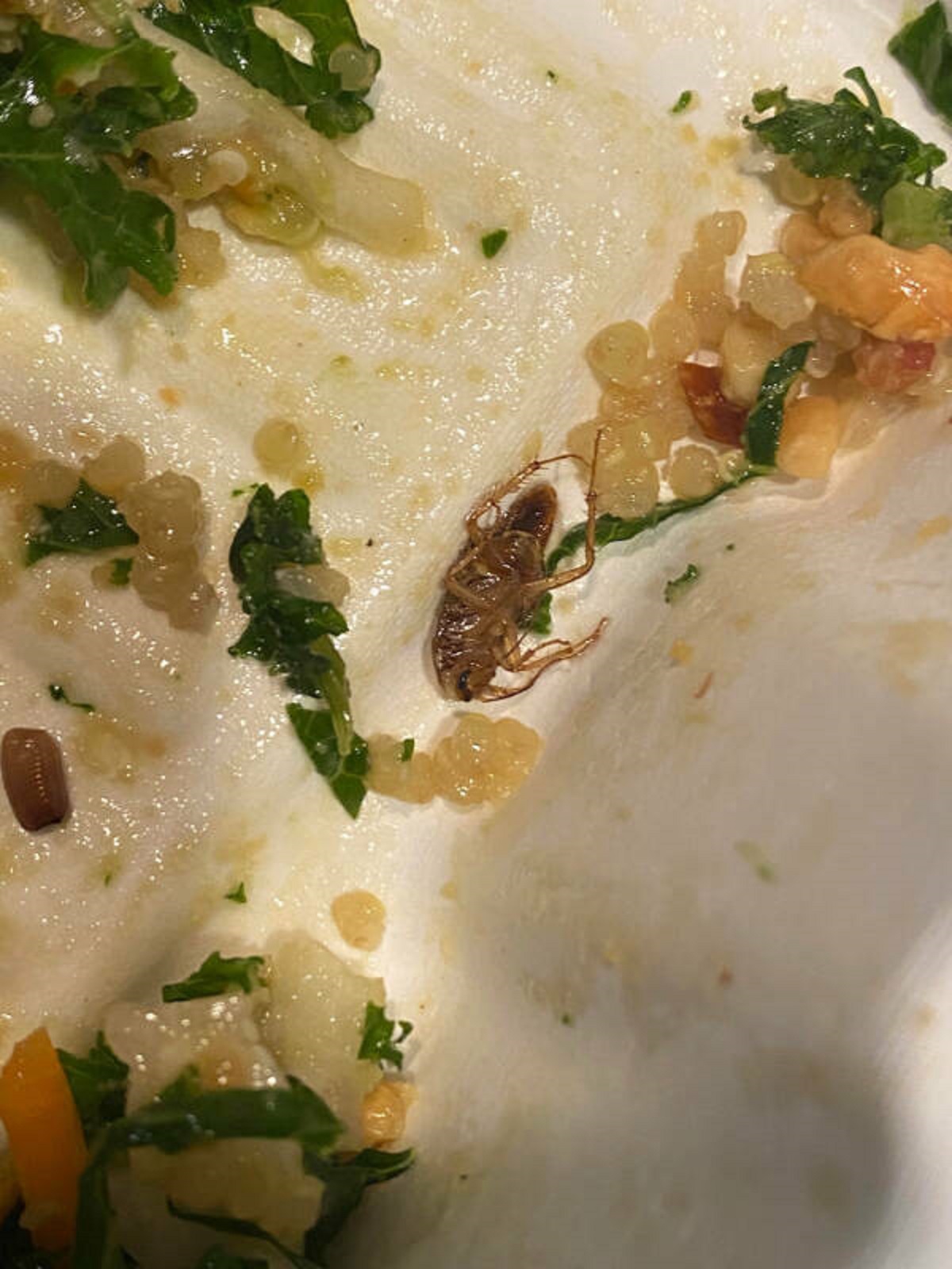 “Was almost finished with my salad when I realized there was a dead bug in it.”