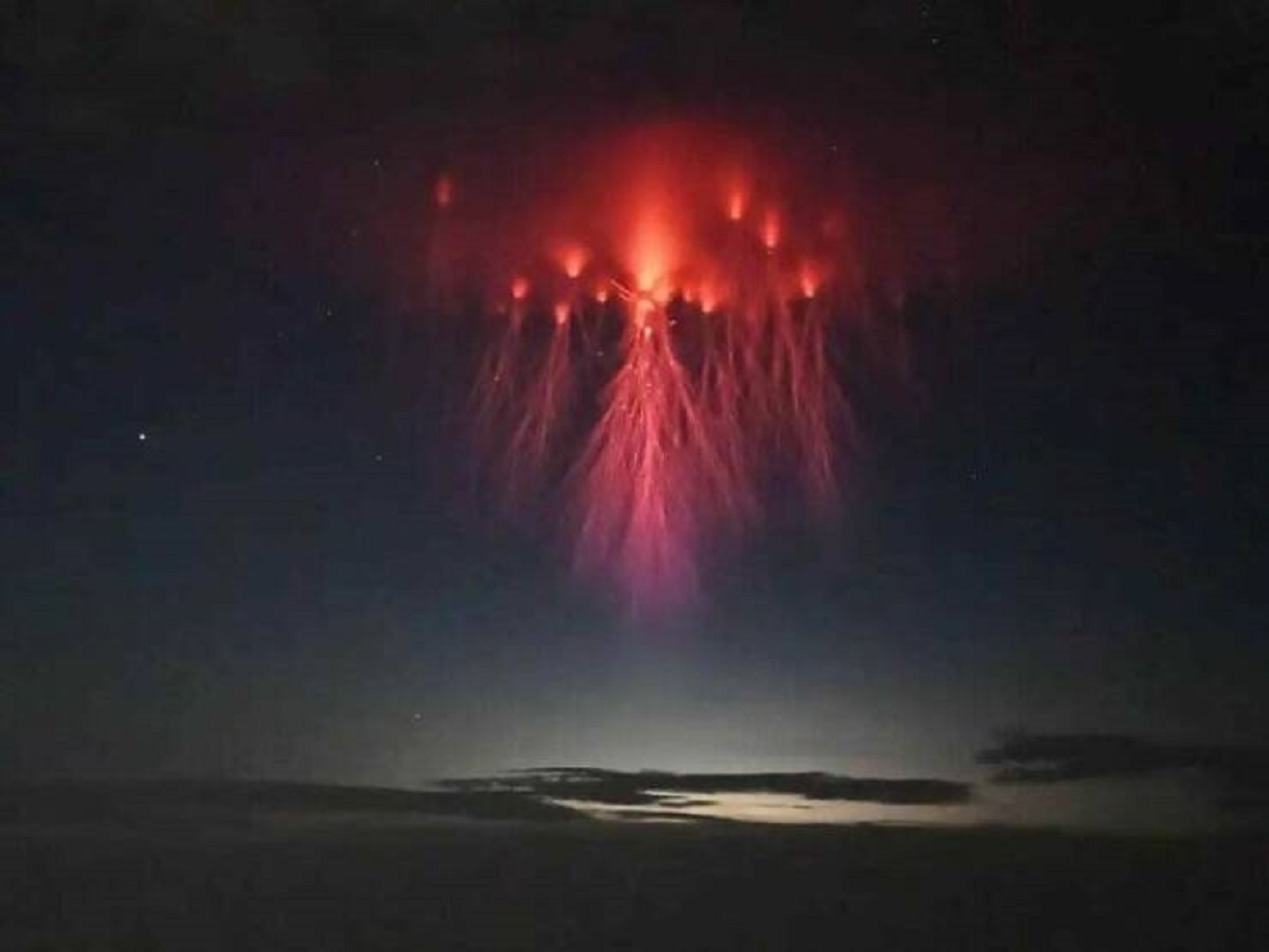 "Red Sprites Are Upper Atmospheric Lightning That Can Occur Above Storm Clouds. They Can Be As Large As 50 Square Kilometers"