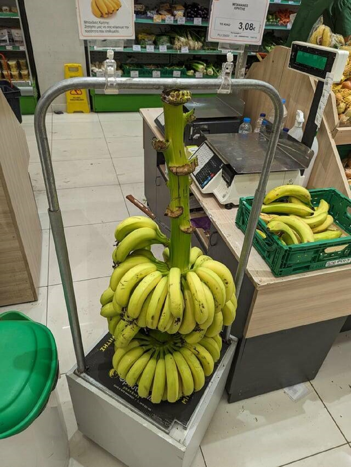 "This grocery store has you cut off your bananas from the branch"