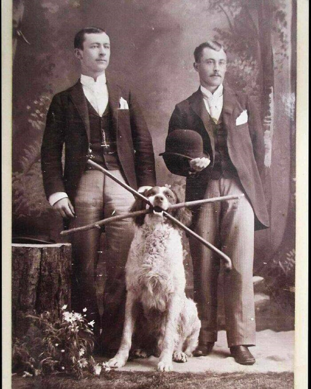 "Two Gentlemen And Their Absolutely Delightful Double-Walking-Stick-Wielding Dog, 1890s"