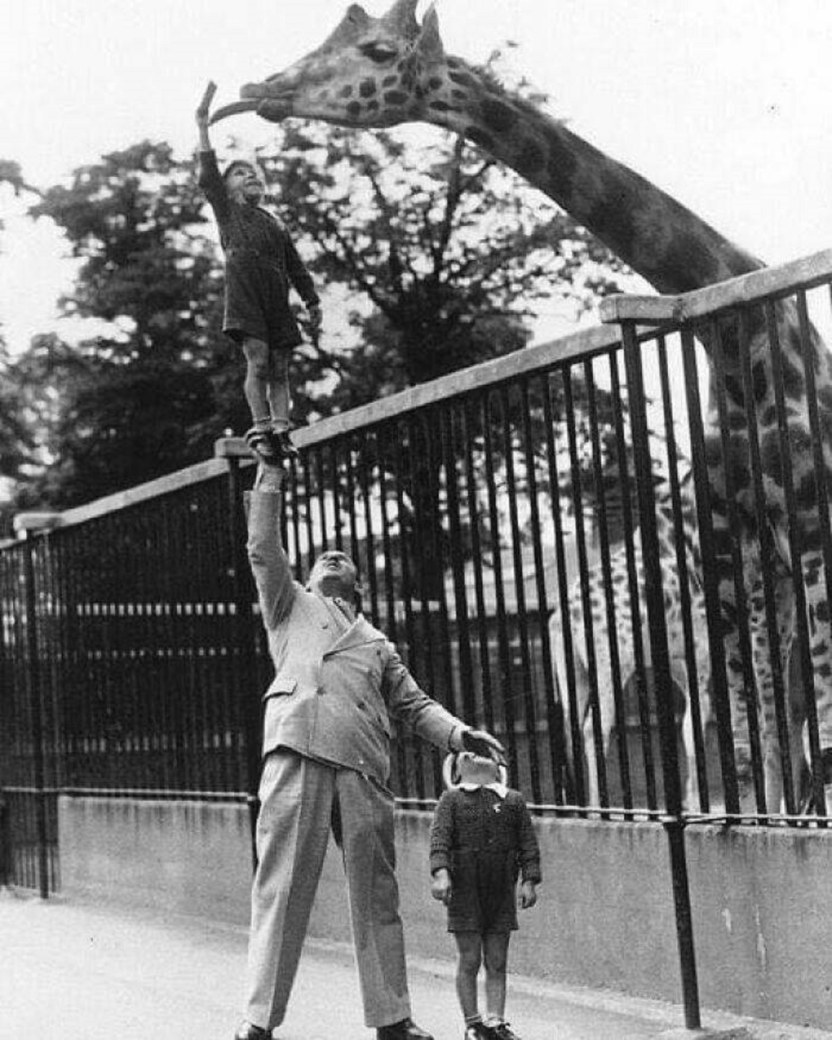 "A Father Helping His Son Feed A Giraffe At London Zoo"