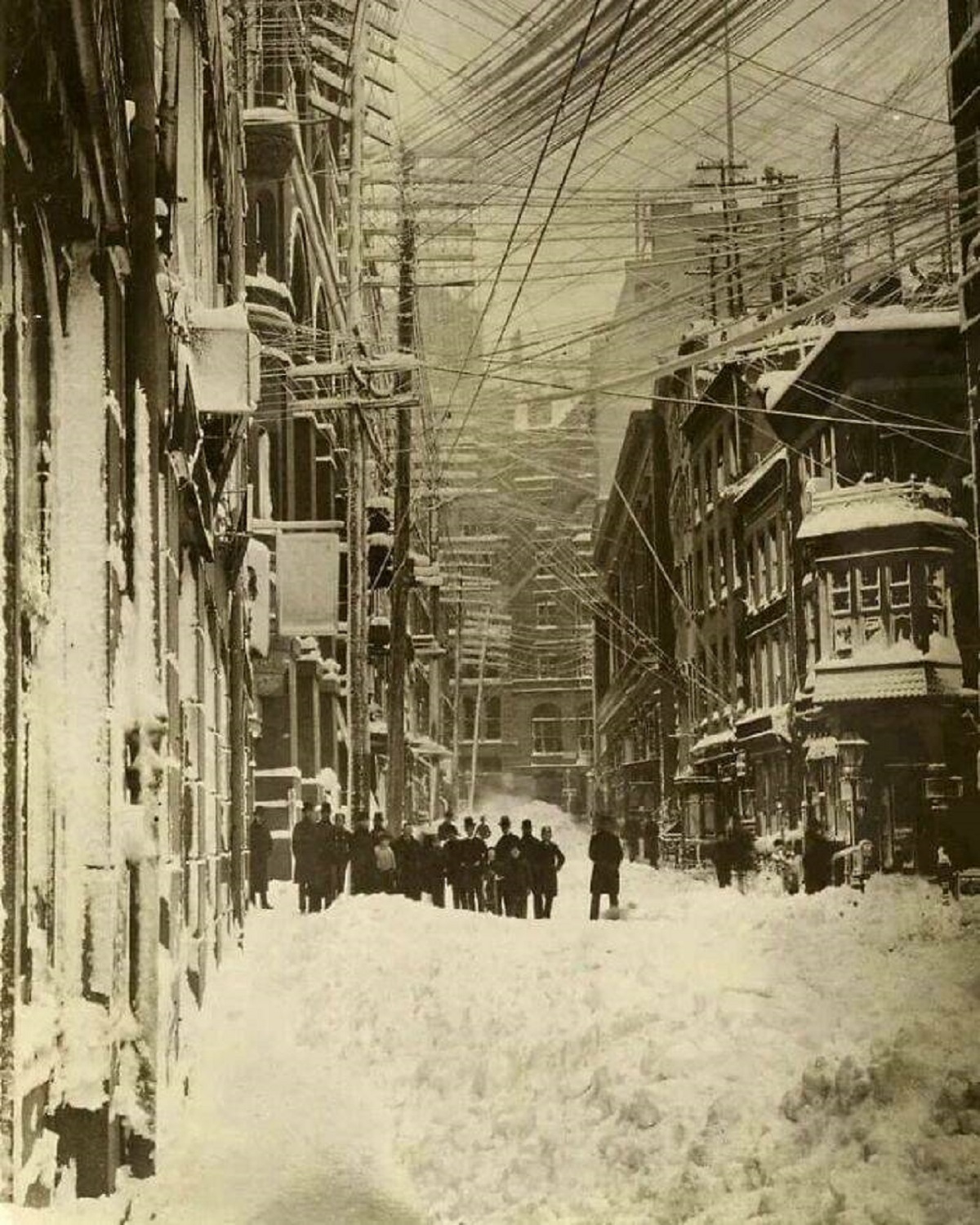 "New York City After A Snowstorm In 1888"