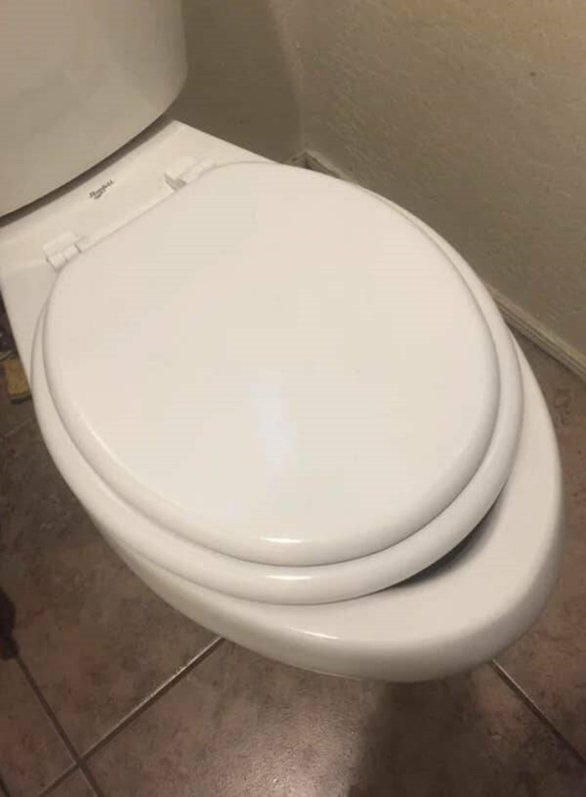 This roommate who replaced the toilet seat with this one after breaking it: