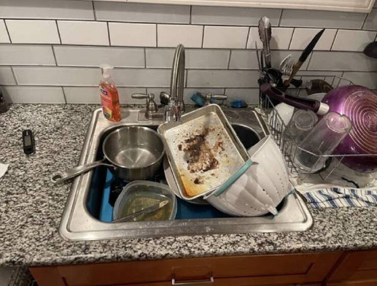 This roommate who was home all day and couldn't find something to do in all that time: