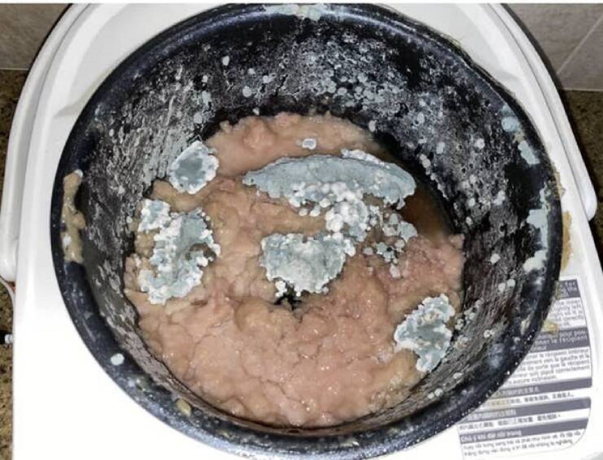 This roommate who refused to clean their rice cooker: