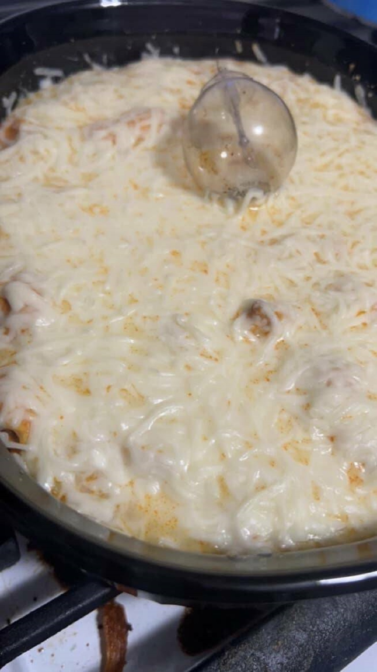 This person made a lovely dinner in 30 minutes, but then the oven light bulb shattered: